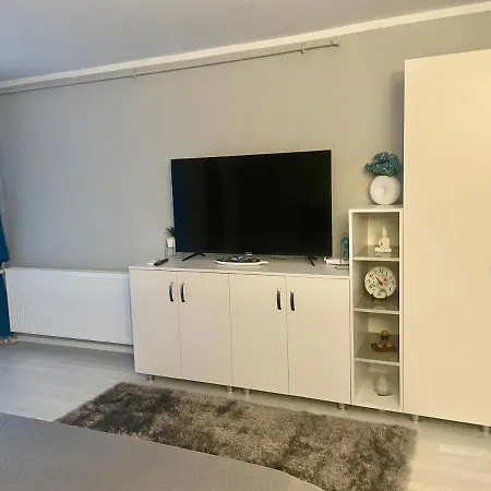 Elina Studio Drobeta Turnu Severin Extérieur photo
