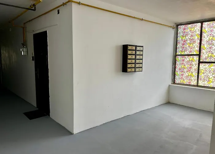 Elina Studio